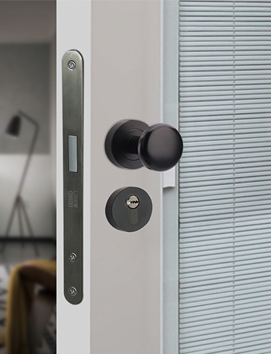 無(wú)漆木門(mén),實(shí)木復(fù)合門(mén),木門(mén)廠(chǎng)家,衣柜定制,木門(mén)加盟,全屋定制加盟,木門(mén)十大品牌