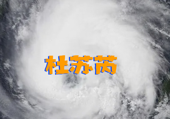 臺(tái)風(fēng)暴雨雙預(yù)警丨原來(lái)這樣的窗戶(hù)才更安全